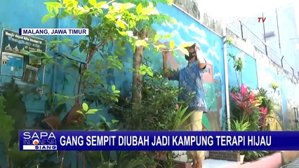 Gang Sempit Ini Diubah Jadi Kampung Terapi Hijau