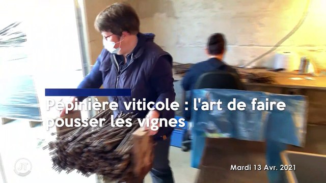 Le Journal - 13/04/2021 - COVID-19 / Déprogrammations des opérations : quelles conséquences pour les patients ?