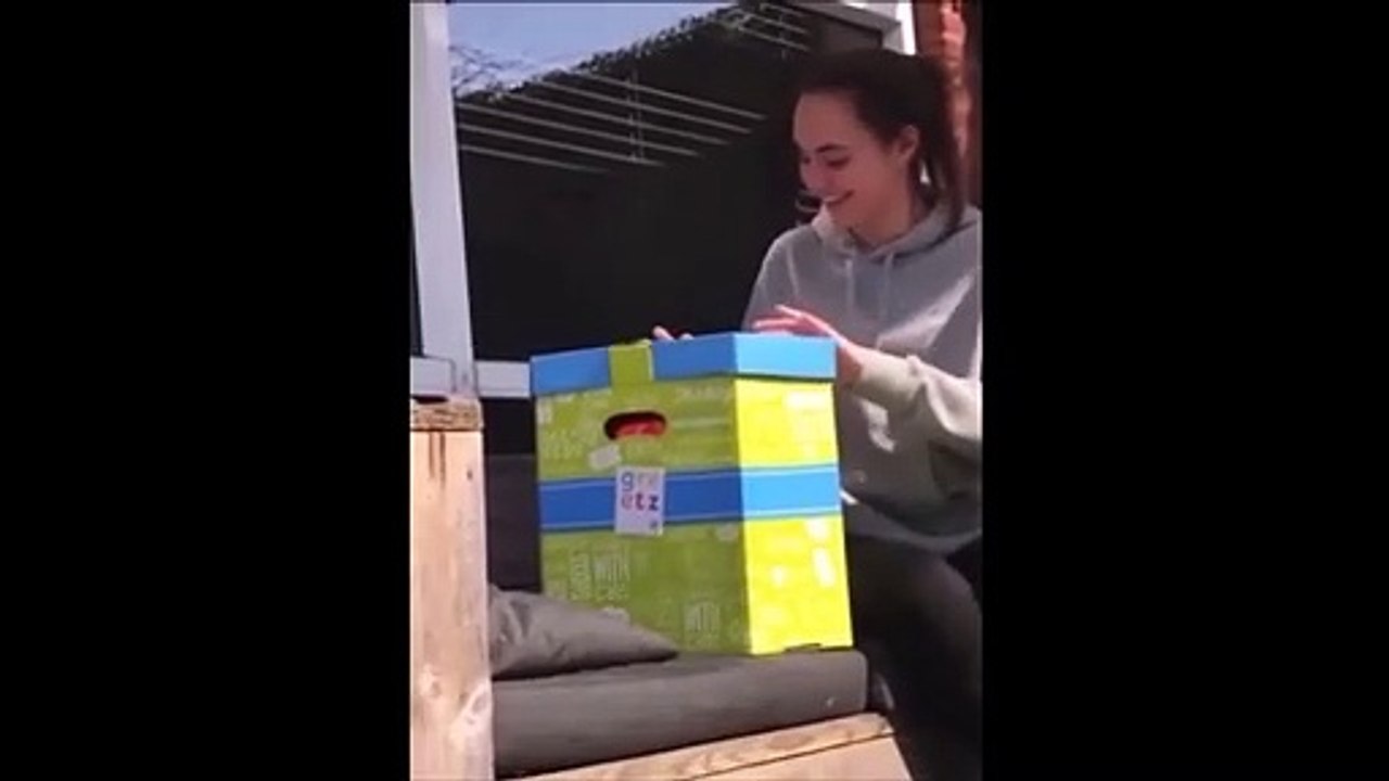 Il utilise un ballon gonflé à l'hélium pour faire sa demande en mariage et va le regretter