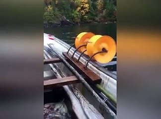 Bu balık yakalama yöntemi oldukça etkili!