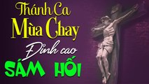 Tuyệt Đỉnh Thánh Ca Mùa Chay Hay Nhất Hiện Nay - TRỞ VỀ BÊN CHÚA, CON XIN PHÓ THÁC