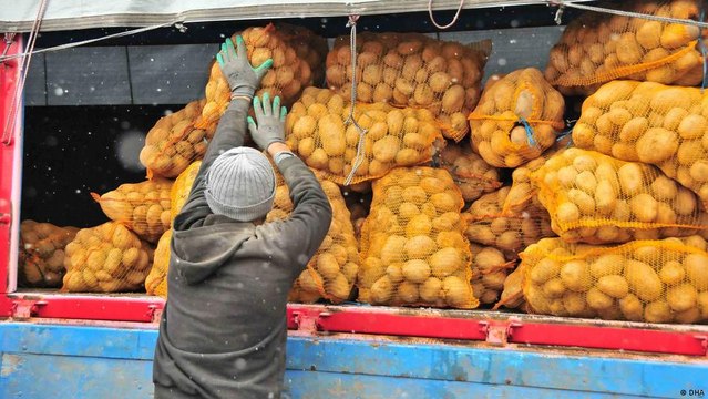 Ücretsiz patates ve soğan dağıtımı: Çiftçi toprağından uzaklaşıyor