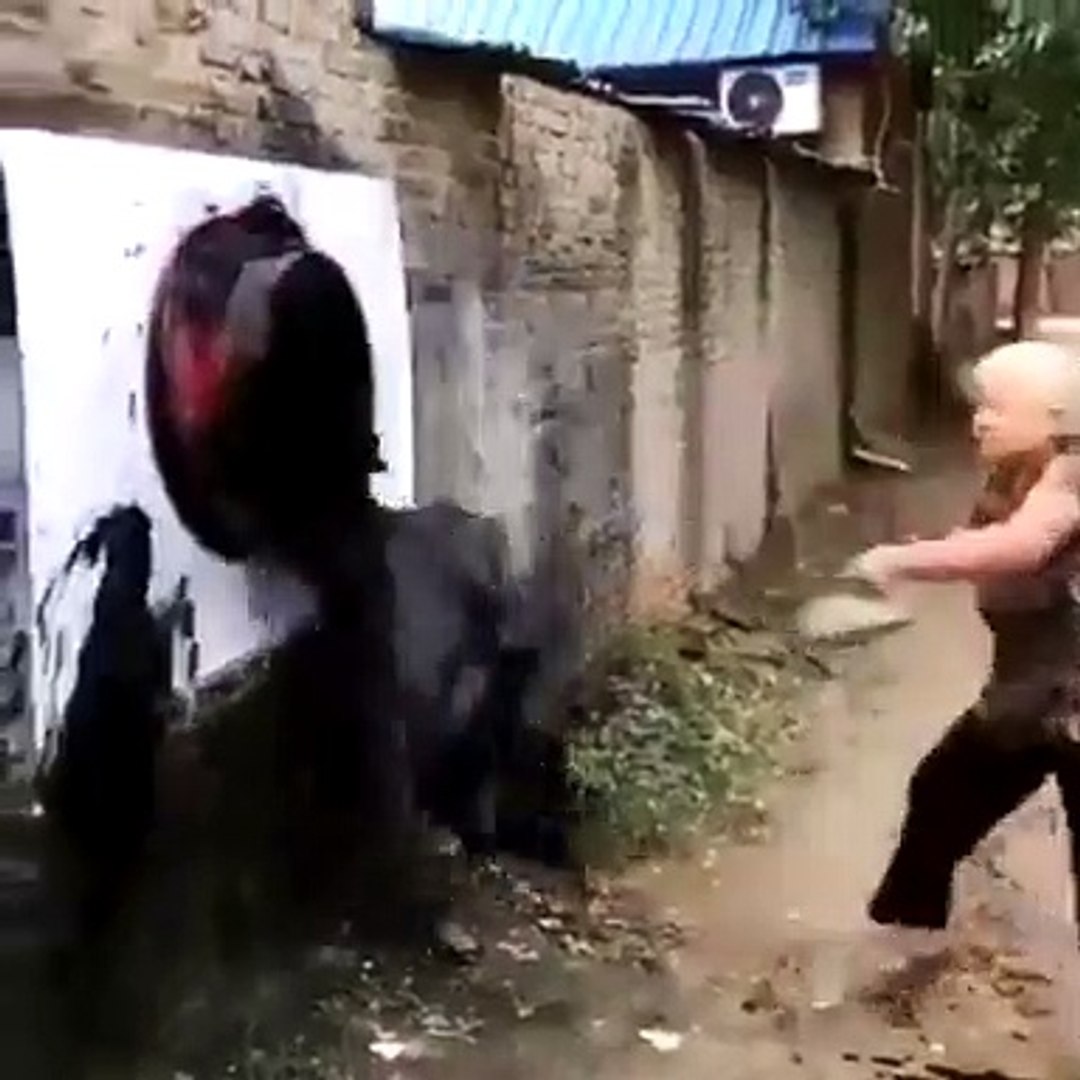 Best videos, Top videos, Viral videos Funny videos no. 96