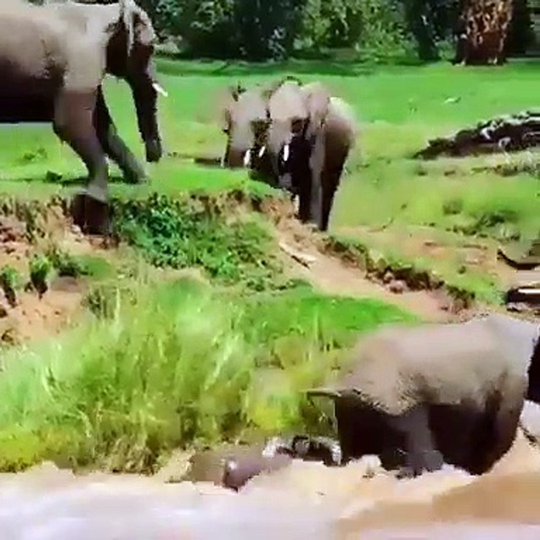 Best videos, Top videos, Viral videos Funny videos no. 98