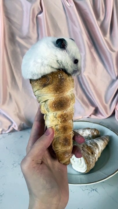 Fluffy Ice Cream