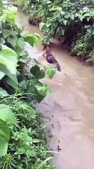Dog VS Duck in the water! who will win?