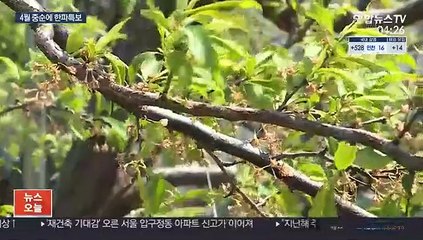역대 가장 늦은 한파특보…"농가 냉해 주의"