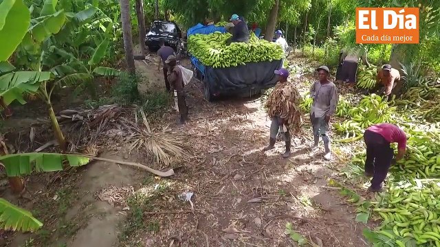 Boletín vespertino desde la redacción de El Día con Katherine Espino.