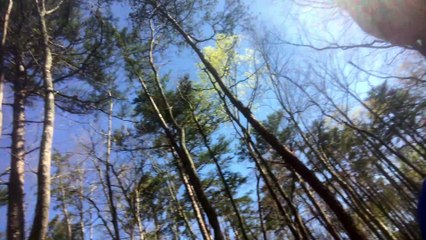 20-Year-Old Cat Gets to go Hiking