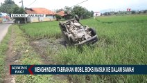 Kecelakaan Tunggal, Mobil Boks Masuk Sawah Akibat Menghindari Tabrakan!
