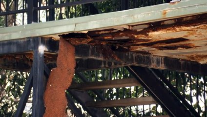 18 Palmerston homeowners told to seek alternative shelter in cyclones