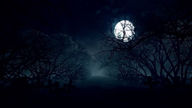 Forest Treasure | The music of dream, rejoice and relaxation 2021