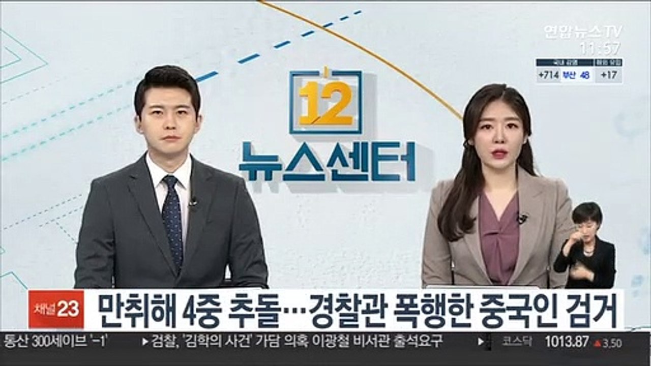 만취해 4중 추돌…경찰관 폭행한 중국인 검거