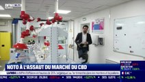 La France qui résiste : Noto à l'assaut du marché du CBD par Justine Vassogne - 14/04