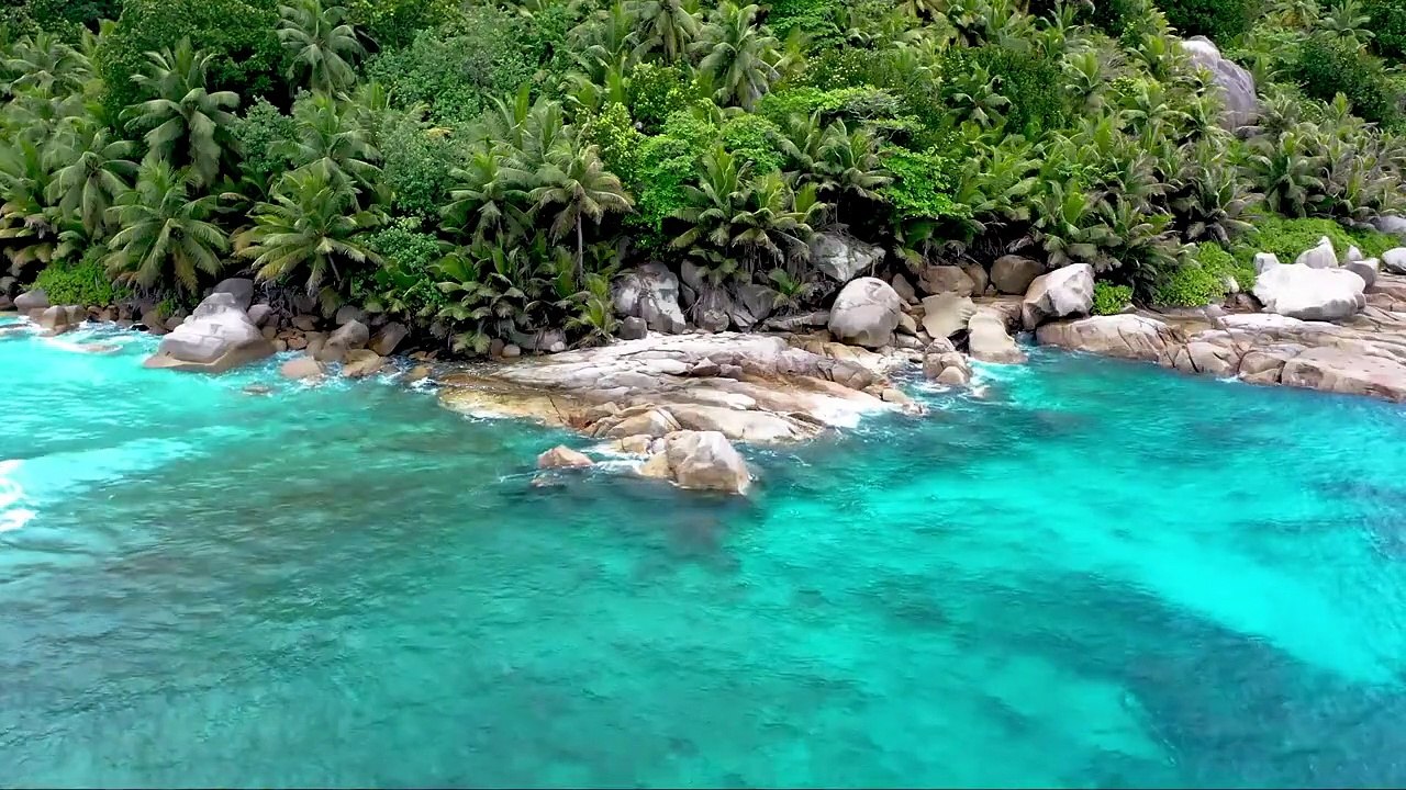 Nature's Beauty