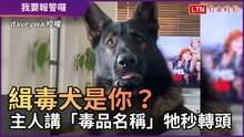 緝毒犬是你？ 主人開玩笑講「毒品名稱」牠秒轉頭：報警囉