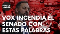 Vox incendia el Senado con estas contundentes palabras contra Pedro Sánchez