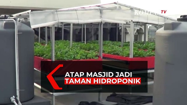 Inovatif! Atap Masjid Dimanfaatkan untuk Tanam Sayuran Hidroponik