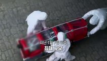 [영상구성] 코로나19 신규확진 731명…'4차 유행' 갈림길