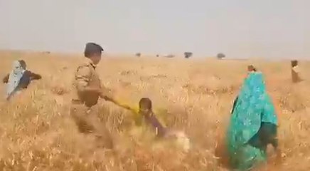फसल नष्ट करने का विरोध कर रही लड़कियों को मथुरा पुलिस ने घसीटा, जाने वायरल वीडियो का पूरा सच