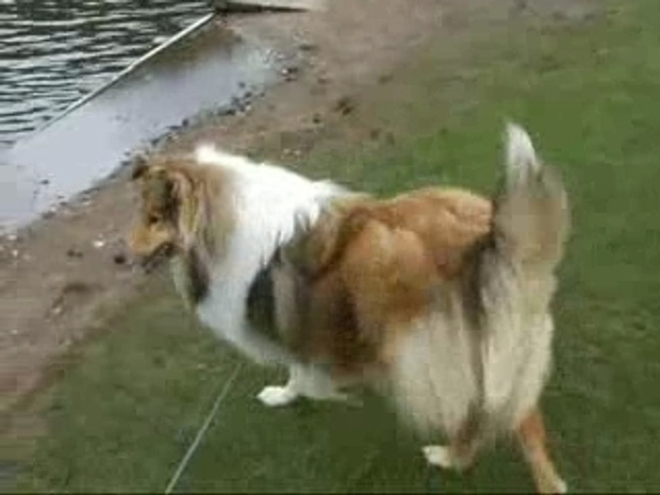 Balade du 25 fevrier 2008