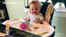  Excited Babies Reactions When Daddy Comes Home  Funny Baby And Daddy