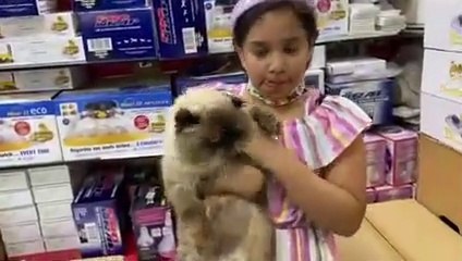 شفا قطة شفا مريضة  أخذناها للدكتور