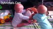 The Funniest And Cutest Video You'Ll See Today! - Twin Babies Adorable Moments