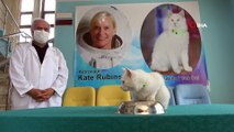 Astronot Kate Rubins’e Van kedisi hediye edildi