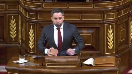 Abascal saca un adoquin en el Congreso y culpa a Marlaska y UP de estar detrás de los ataques