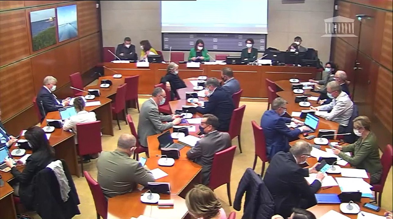 Intervention lors de l'examen en CDD de la proposition de loi relative à la limitation des impacts négatifs de la publicité