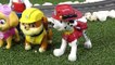 Paw Patrol Moto Pups Wildcat Mystery Full Episode English With The Funlings