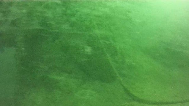 Son dakika haberi: MARMARA'NIN DİBİNİ TEHDİT ETMEYE BAŞLADI; 'SALYA' SU ALTI KAMERASIYLA GÖRÜNTÜLENDİ