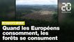 Les forêts tropicales menacées par les consommateurs européens