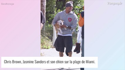 Chris Brown attaqué en justice : son chien mord une employée, qui finit en sang