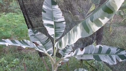 เรื่องพลบค่ำ ช่วงที่ 1 วันพุธที่ 14 เม.ย.64