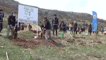 "En İyi Narkotik Polisi: Anne" projesi kapsamında 500 fidan dikildi