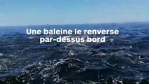 Il se fait renverser par-dessus bord par une baleine