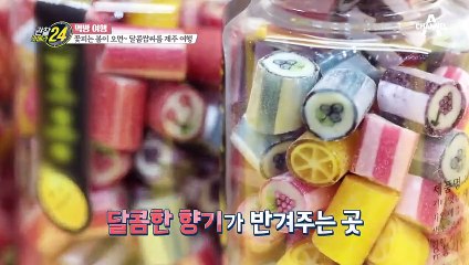 ※관심집중※ 현실판 찰리와 초콜릿 공장, '제주도 수제 사탕 공장'