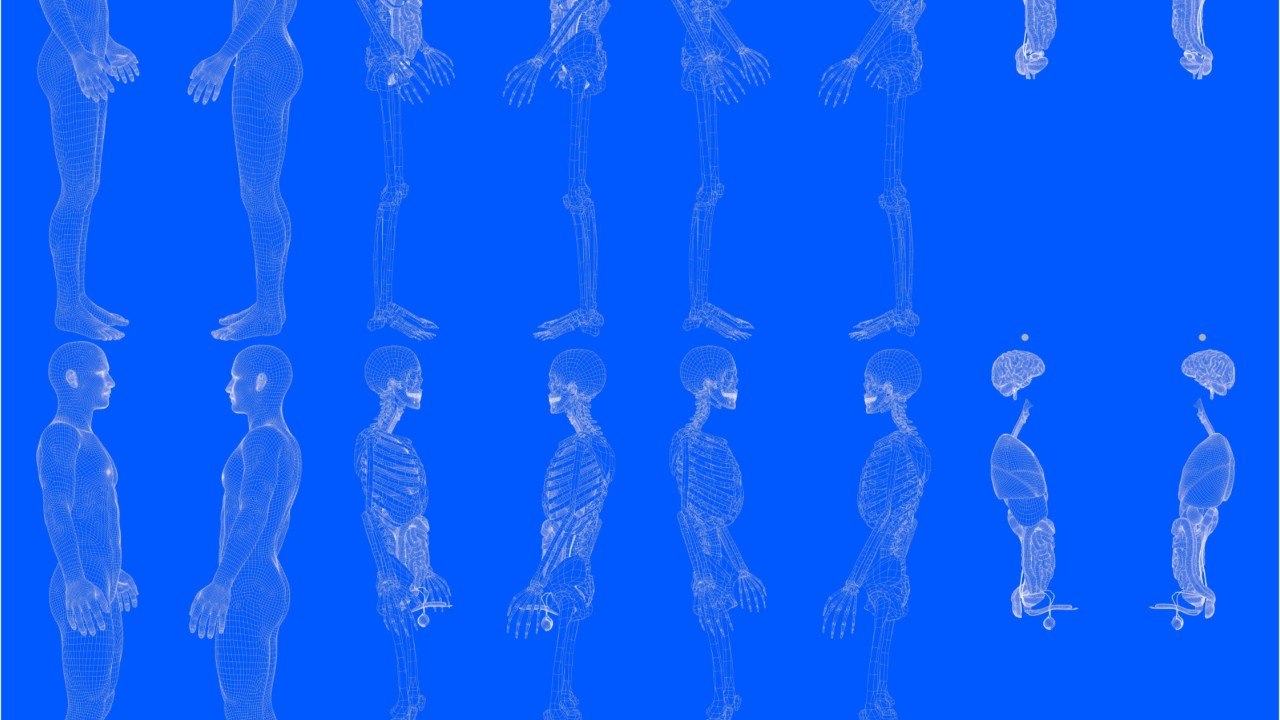 This man discovered that his boner was turning... into bone