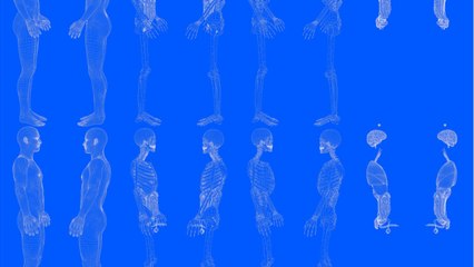This man discovered that his boner was turning... into bone