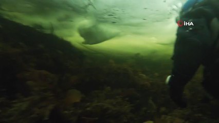 - Rusya'da buz tutan denizin altında fotoğraf sergisi