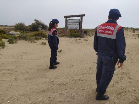 Son dakika haberleri: Göksu Deltası'ndaki caretta caretta yuvalarını jandarma koruyor
