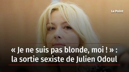 « Je ne suis pas blonde, moi ! » : la sortie sexiste de Julien Odoul
