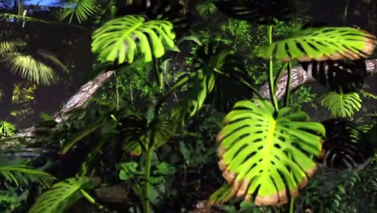 Videografik: Das Amazonas-Gebiet – bedrohtes Natur-Wunder