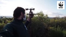 Una ventana se abre a la naturaleza más inaccesible de Sierra Morena