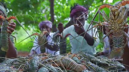 BIG LOBSTER _ 50 KG Lobster Fry Cooking and Eating In Village _ Lobster Recipes with Indian Masala