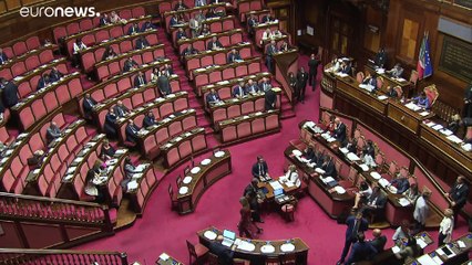 Caso Zaki, il Senato dà via libera a Odg su cittadinanza