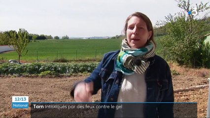 Gel : les feux allumés par des agriculteurs du Tarn plongent un village dans le brouillard