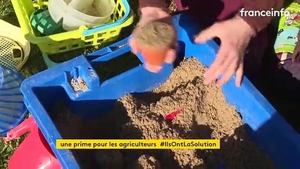 En Bretagne, les agriculteurs reçoivent une "aide Covid" pour pouvoir garder leurs enfants